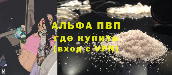 ПСИЛОЦИБИНОВЫЕ ГРИБЫ Осташков