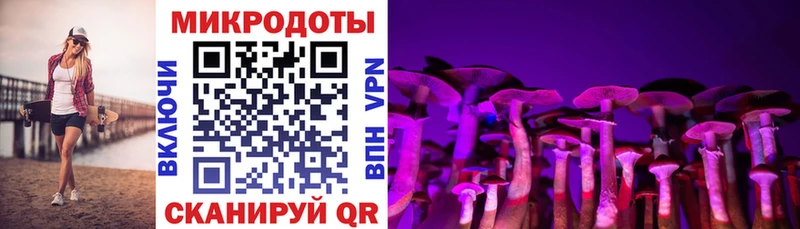 Галлюциногенные грибы Magic Shrooms  Ясногорск 